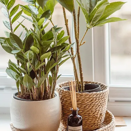 Na Krakowskim Kazimierzu Kraków